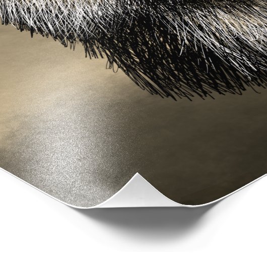 Impression Photo Dessin de la face Fox (Coin)