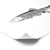 Impression Photo Dessin de poisson de bouchon (Coin)