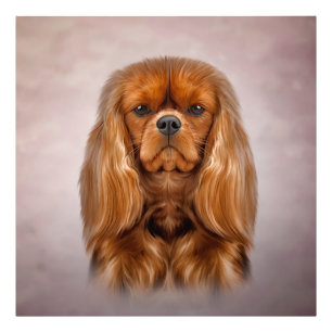 Impression Photo Dessin du chien Cavalier le roi Charles Spaniel