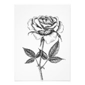 Impression Photo dessin rose (Devant)