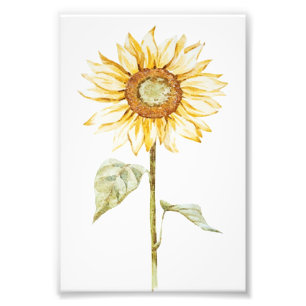 Impression Photo Dessin Tournesol - Cadeau de Anniversaire Drôle Vi