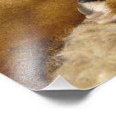 Impression Photo Détail d'une boîte (Coin)