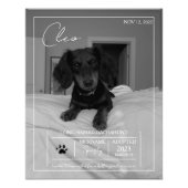 Impression Photo Détails sur l'animal de compagnie moderne personna (Devant)