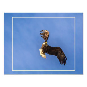 Impression Photo Détermination