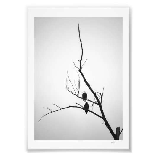 Impression Photo Deux aigles (Devant)