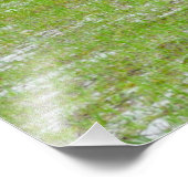 Impression Photo Deux chevaux broutant (Coin)