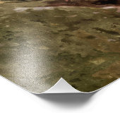 Impression Photo Deux Chouettes (Coin)