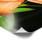 Impression Photo Deux fleurs (Coin)