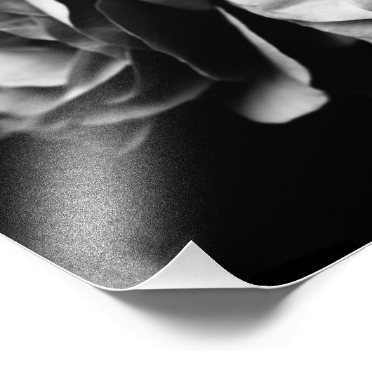 Impression Photo deux roses (Coin)