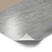 Impression Photo Deux Starlings (Coin)