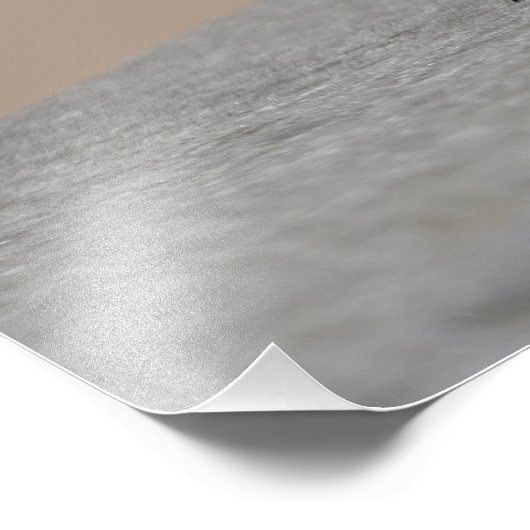 Impression Photo Deux Starlings (Coin)