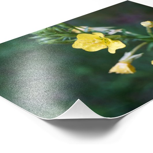 Impression Photo Dew Drop Intime (Coin)