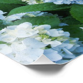 Impression photo d'hortensias (Coin)