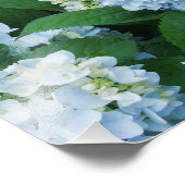 Impression photo d'hortensias (Coin)
