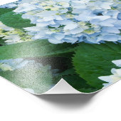 Impression photo d'hortensias (Coin)
