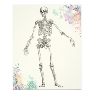 Impression Photo diagramme de fleur squelette de l'anatomie médical