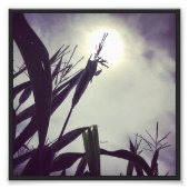 Impression Photo Dieu Sun-Corn (Devant)