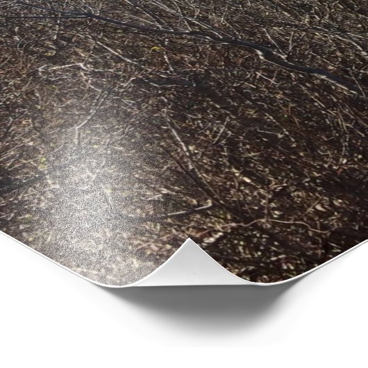 Impression photo d'image personnalisée (Coin)