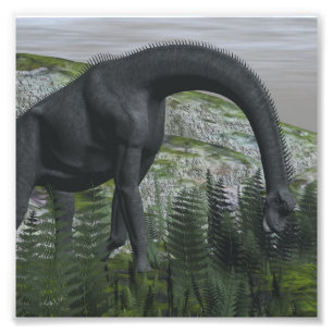 Impression Photo Dinosaure de Brachiosaurus mangeant la fougère -