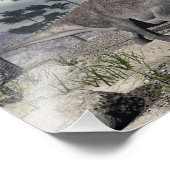 Impression Photo Dinosaure de Zuniceratops - rendu 3D (Coin)