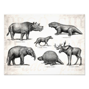 Impression Photo Dinosaure vintage Ancien dessin Dinosaures rétro