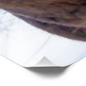 Impression Photo Directement de la bouche du cheval drôle animal (Coin)