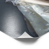 Impression Photo Diva du Bubble gum du Barry (Coin)