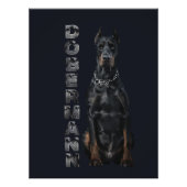 Impression Photo Doberman Pinscher (Devant)