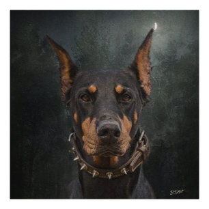 Impression Photo Doberman Pinscher