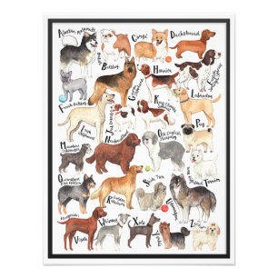 Impression Photo Dog Breeds
