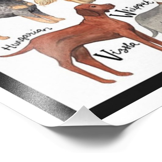 Impression Photo Dog Breeds (Coin)