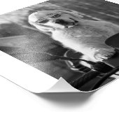 IMPRESSION PHOTO DOG STYLE (Coin)