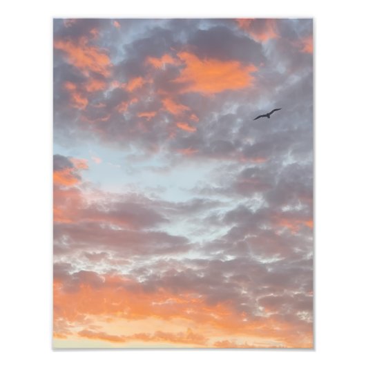 Impression photo d'oiseau volant dans des nuages r (Devant)