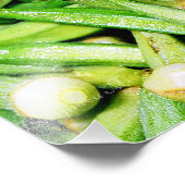 impression photo d'okras green légumes (Coin)