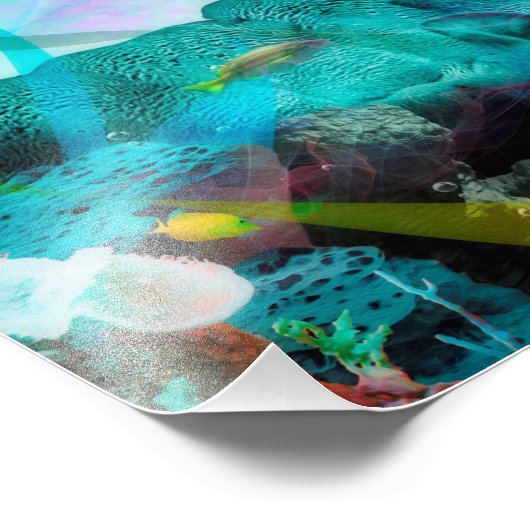 IMPRESSION PHOTO DOLPHIN BLUE OCEAN DIVERS (Coin)