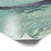 Impression Photo Dolphins, Sea World, Gold Coast, Queensland, (Coin)