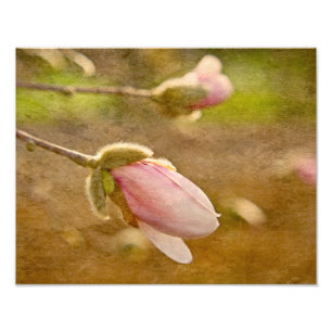 Impression Photo Don d'espoir