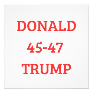 Impression Photo Donald Trump