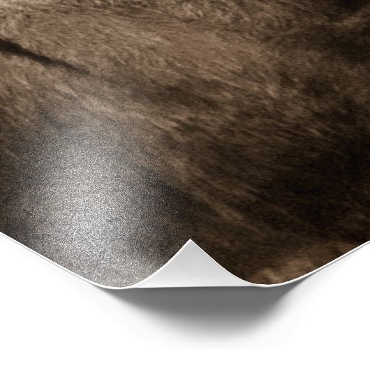 Impression Photo Donkey (Coin)