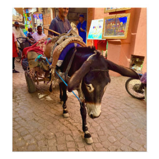Impression Photo Donkey & Cart dans la Médina - Marrakech, Maroc