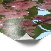 Impression Photo Double Blossoming Cherry (Coin)