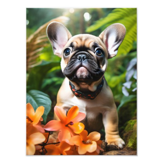 Impression Photo 😍Douce Frenchie chiot dans une jungle (Devant)