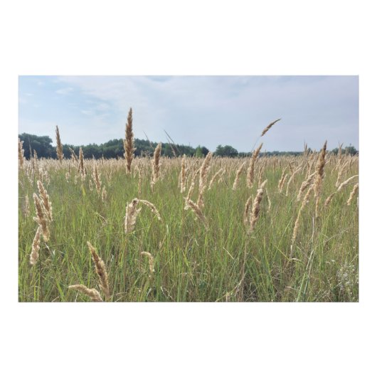Impression Photo Douce Prairie d'Été (Devant)