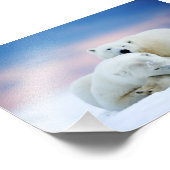 Impression photo d'ours polaires (Coin)
