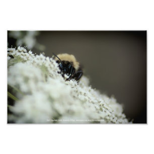 Impression Photo Doux