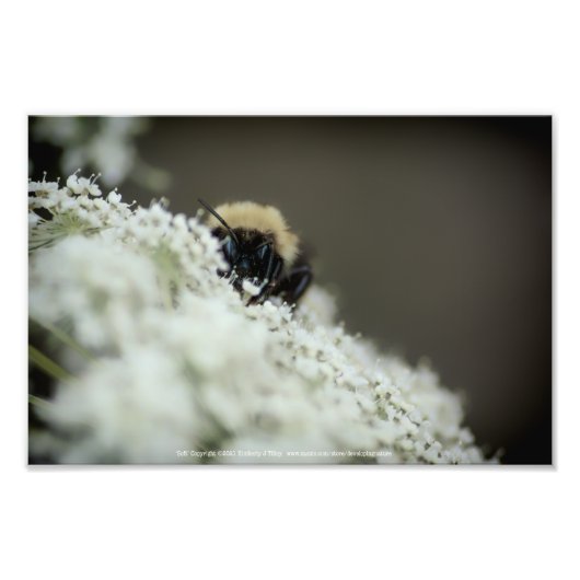 Impression Photo Doux (Devant)