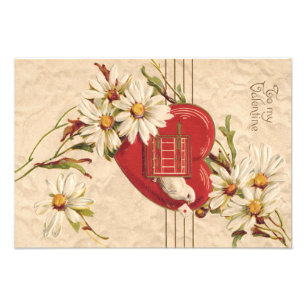 Impression Photo Dove Heart Birdhouse Daisy Marguerites