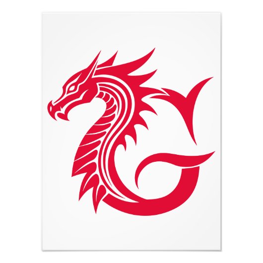 Impression Photo Dragon Styled Letter G, Dragon Alphabet, Monogram (Devant)