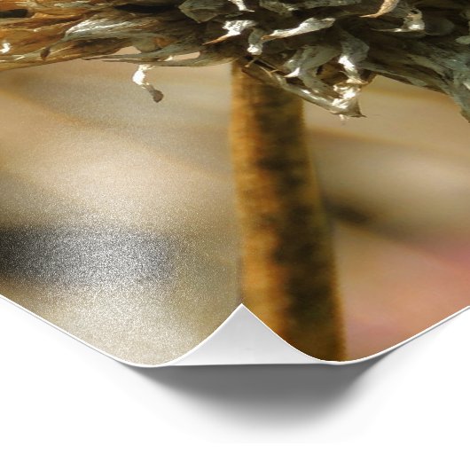 Impression Photo Dragonfly (Coin)