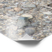 Impression Photo Dragonfly 16X20 - Une queue blanche commune (Coin)